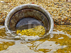Gold Panning Page Link